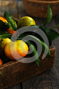 Wooden box with fresh green, yellow and orange tangerines