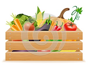Wooden box with fresh and healthy vegetables vector illustration