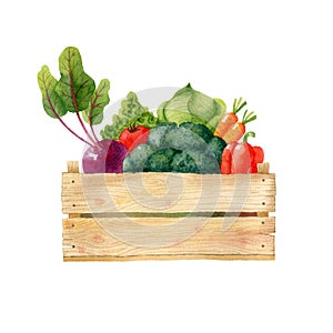 Wooden box with fresh organic vegetables isolated on white background.