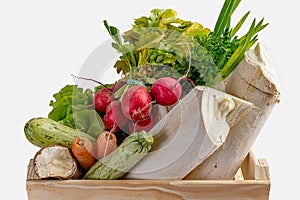 Wooden box with fresh vegetables and organic greens on white background. Bio organic food. Detox diet. Selective focus. Space for