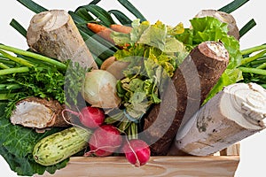 Wooden box with fresh vegetables and organic greens on white background. Bio organic food. Detox diet. Selective focus. Space for