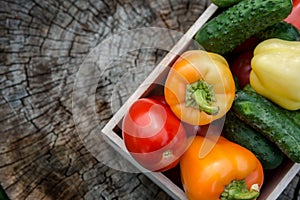 Wooden box with fresh vegetables tomato, cucumber, bell pepper in the garden, on the farm. Selective focus, Close up photo