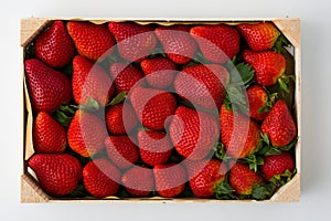 wooden box full of fresh organic strawberries on white background