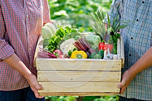 Wooden box full of fresh organic vegetables in female and man`s hands. Farmers family with harvest