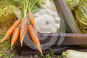 Wooden box full of fresh raw vegetables. Vegetable basket: cabbage, carrots, zucchini. Harvesting. Fresh vegetables. Close up.