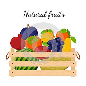 A wooden box full of ripe fresh fruit, watermelon, grapes, apple, pear. Natural, organic food. The concept of growing your own