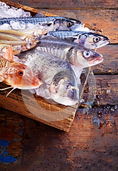 Wooden box of ice filled with assorted fresh fish