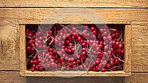 Wooden box with murrey haw berries of wild hawthorn on rough wooden background photo