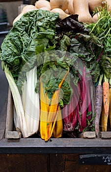 wooden box of rainbow chard and rhubarb