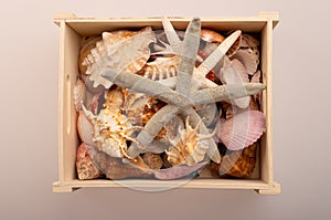 Wooden box with shells on a white background. Sea treasures in a box. Starfish with shells