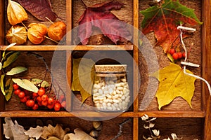 Wooden box with various red and yellow leaves, nuts and berries.