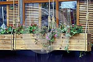 Wooden boxes with flowers hang on ropes on the background of windows