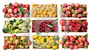 wooden boxes with fresh fruits isolated on white background