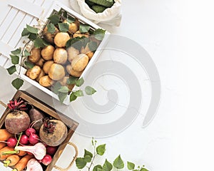 Wooden boxes full of fresh organic vegetables from the local market on a white table
