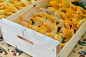 Wooden boxes with yellow zucchini flowers.