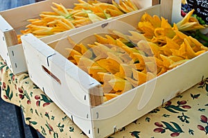 Wooden boxes with yellow zucchini flowers.