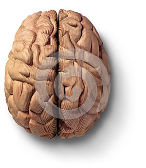 De madera cerebro 