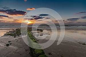 Wooden breakwater, sunset at the Baltic Sea, Sylt, Germany