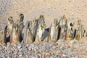 Wooden breakwaters on a beach