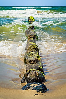 Wooden breakwaters at a seaside