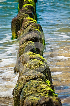 Wooden breakwaters at a seaside