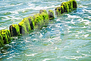 Wooden breakwaters at a seaside