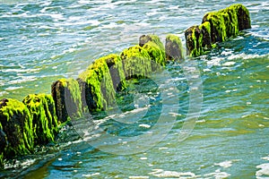 Wooden breakwaters at a seaside