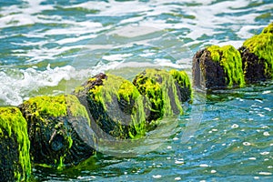 Wooden breakwaters at a seaside