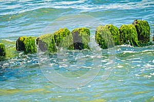 Wooden breakwaters at a seaside