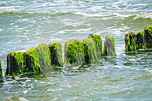 Wooden breakwaters at a seaside