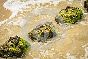 Wooden breakwaters at a seaside