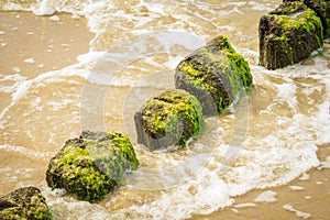 Wooden breakwaters at a seaside