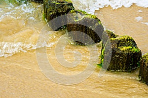 Wooden breakwaters at a seaside