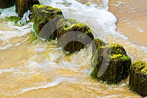 Wooden breakwaters at a seaside