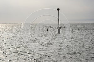 Wooden bricole with public lighting in the sea on the way from Chioggia to Venice photo