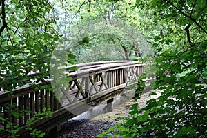 Wooden bridge