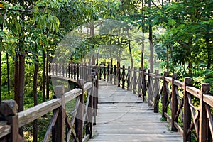 Wooden bridge