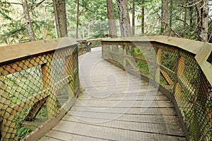 Wooden bridge