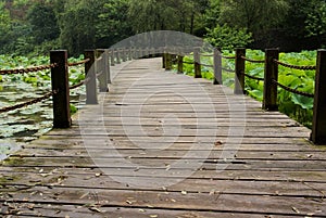 Wooden bridge