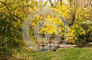 Wooden Bridge