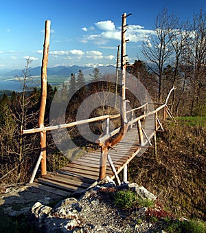 Wooden bridge