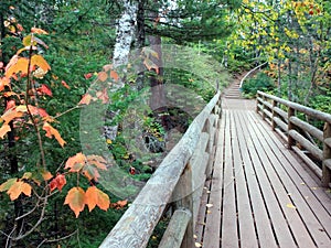 Wooden bridge