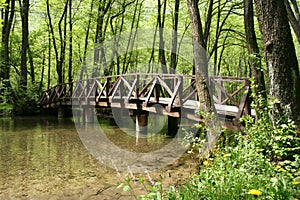 Wooden bridge