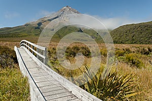 Wooden bridge at Ahukawakawa swamp