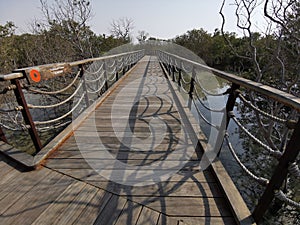 Wooden bridge in Al Jubail Mangrove Park In AbuDhabi,UAE. photo