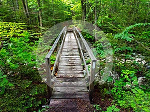 Wooden Bridge, Appalachian Trail Green Mountains, Vermont
