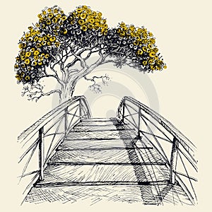 Wooden bridge arch and blooming tree