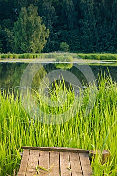 Wooden bridge on the background of a lake or river. Natural landscape near the water.