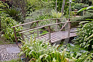 Wooden bridge in a beautiful garden.