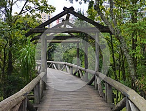 Wooden bridge in botanical garden in curitiba